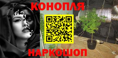 гашик Будённовск