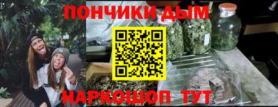 гашик Будённовск