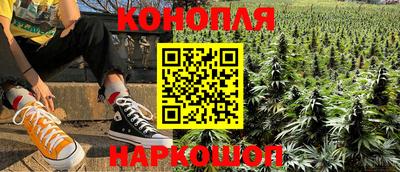гашик Будённовск