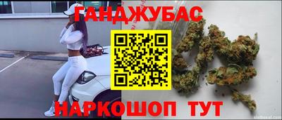 гашик Будённовск