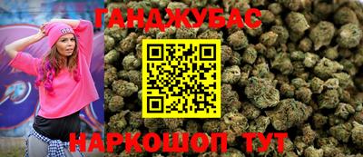 гашик Будённовск