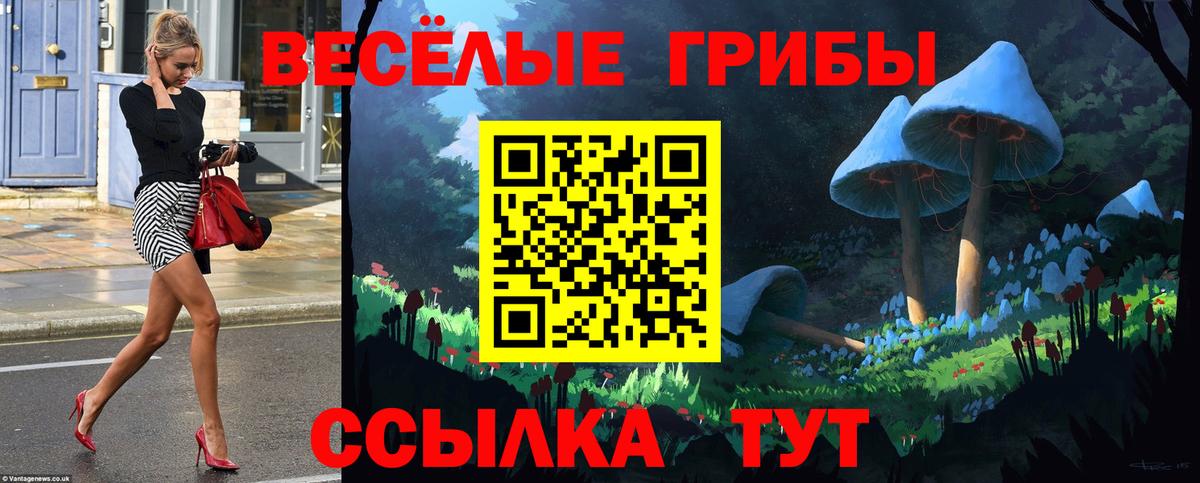 Холмск  Галлюциногенные грибы MAGIC MUSHROOMS  Вход с VPN  Галлюциногенные грибы мухоморы 